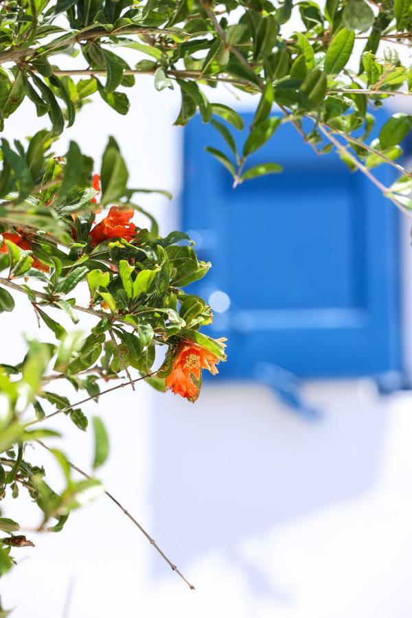Вилла Mykonos In White Mykonos Town Экстерьер фото